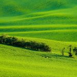 li62110-侠隐阁源码