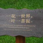 菩提本无树-侠隐阁源码